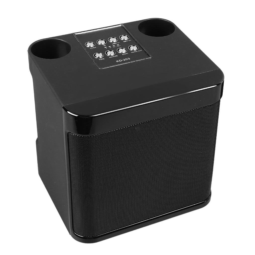 Wireless Karaoke Speakers Portable Mini Karaoke Machine Bluetooth Speaker with 2 Wireless Microphones for Home Party Camping