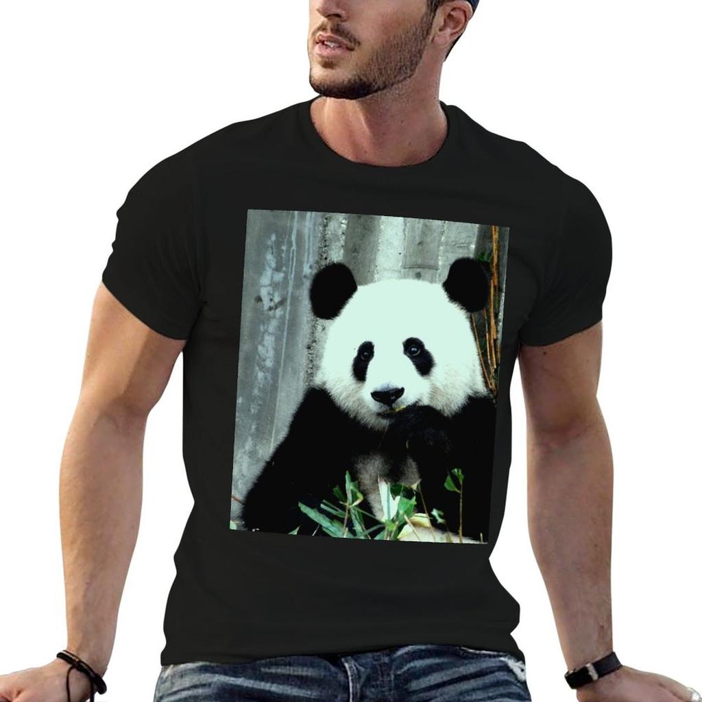 Eating Panda Tshirt T Shirt Custom Print Unisex T Shirt Cotton Unisex T Shirts Graphic Tshirt