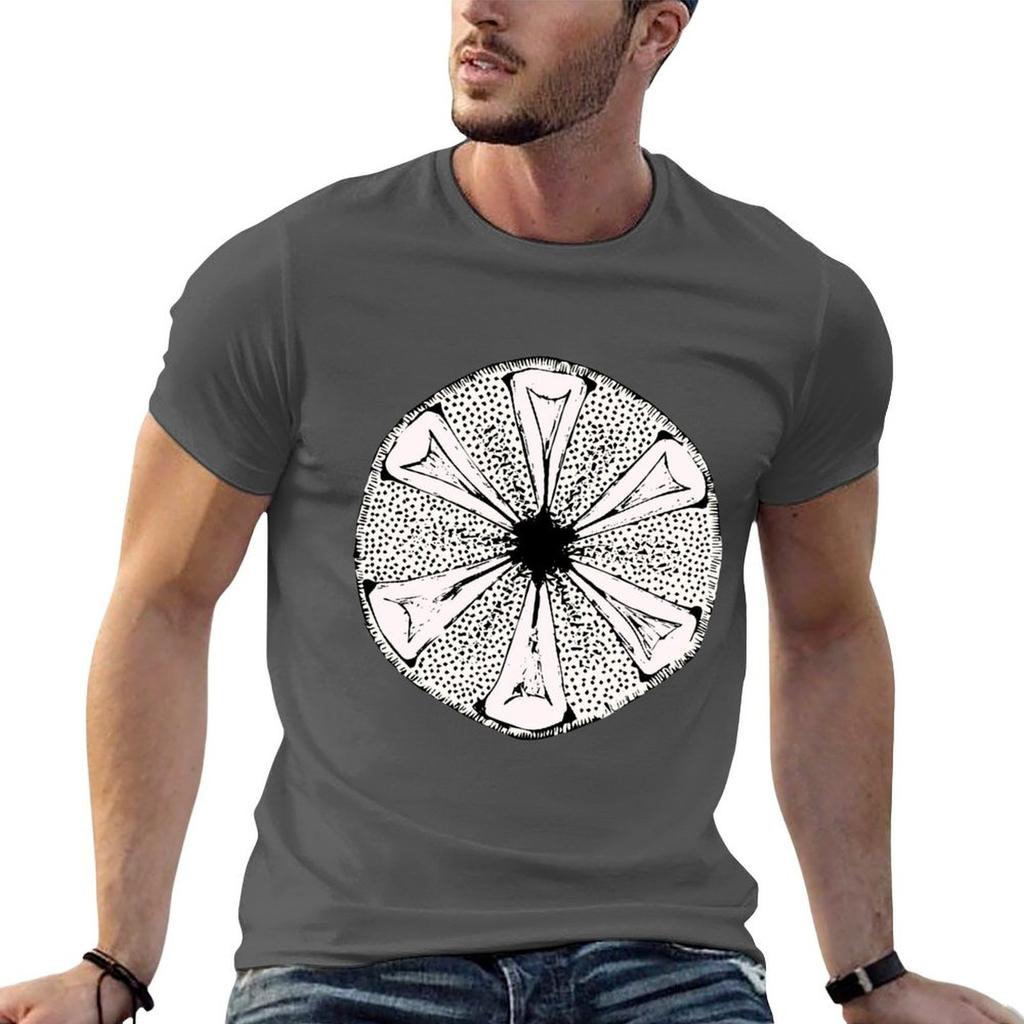 Diatom TShirt UV Protection Outdoor Tee Shirt