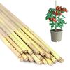 20 Pcs Bamboo Plant Support Stakes Reusable Garden Stakes Natural Bamboo Sticks Support Poles