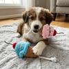 Food Shape Squeaky Pet Toy Dual Color Cat Play Toy Cute Design Ice Cream Toy  For Cat