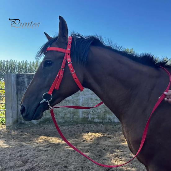 Недоуздок для лошади с регулируемым подбородком, плюшевый подбитый повод для лошади, тренировочное оборудование для лошадей, аксессуар для конного спорта