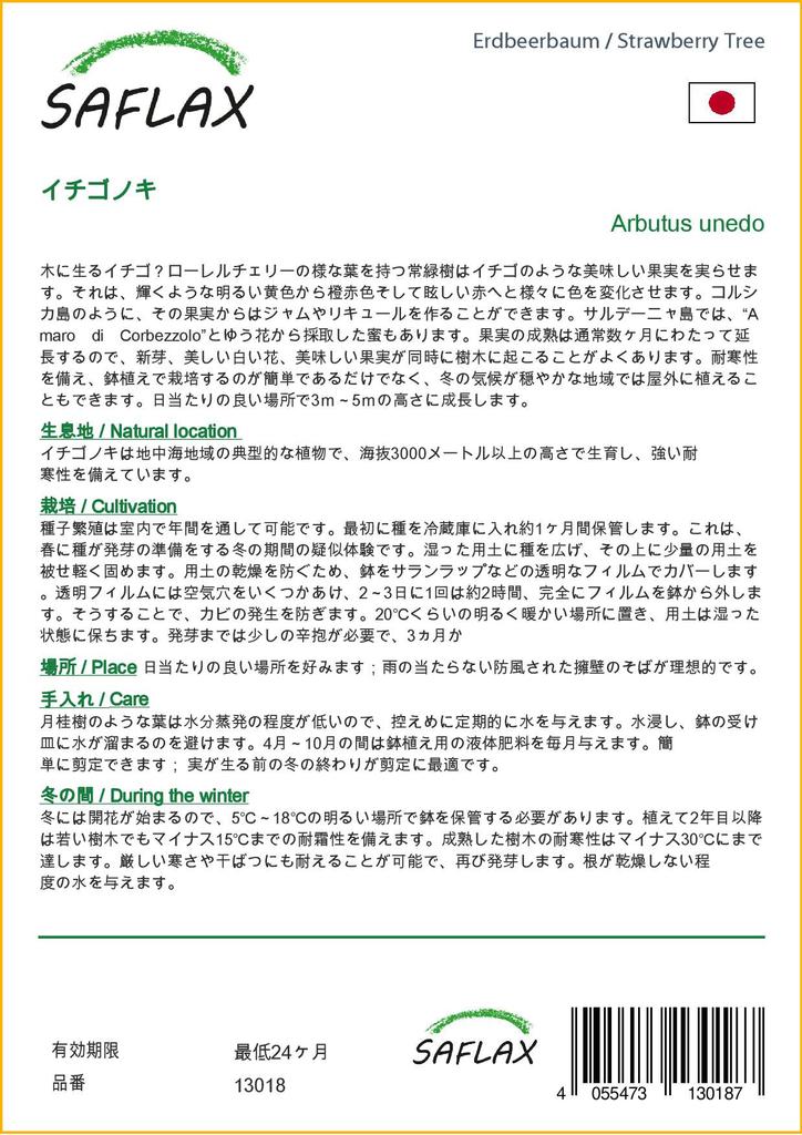 SAFLAX Земляничное дерево - 50 семян - Arbutus unedo