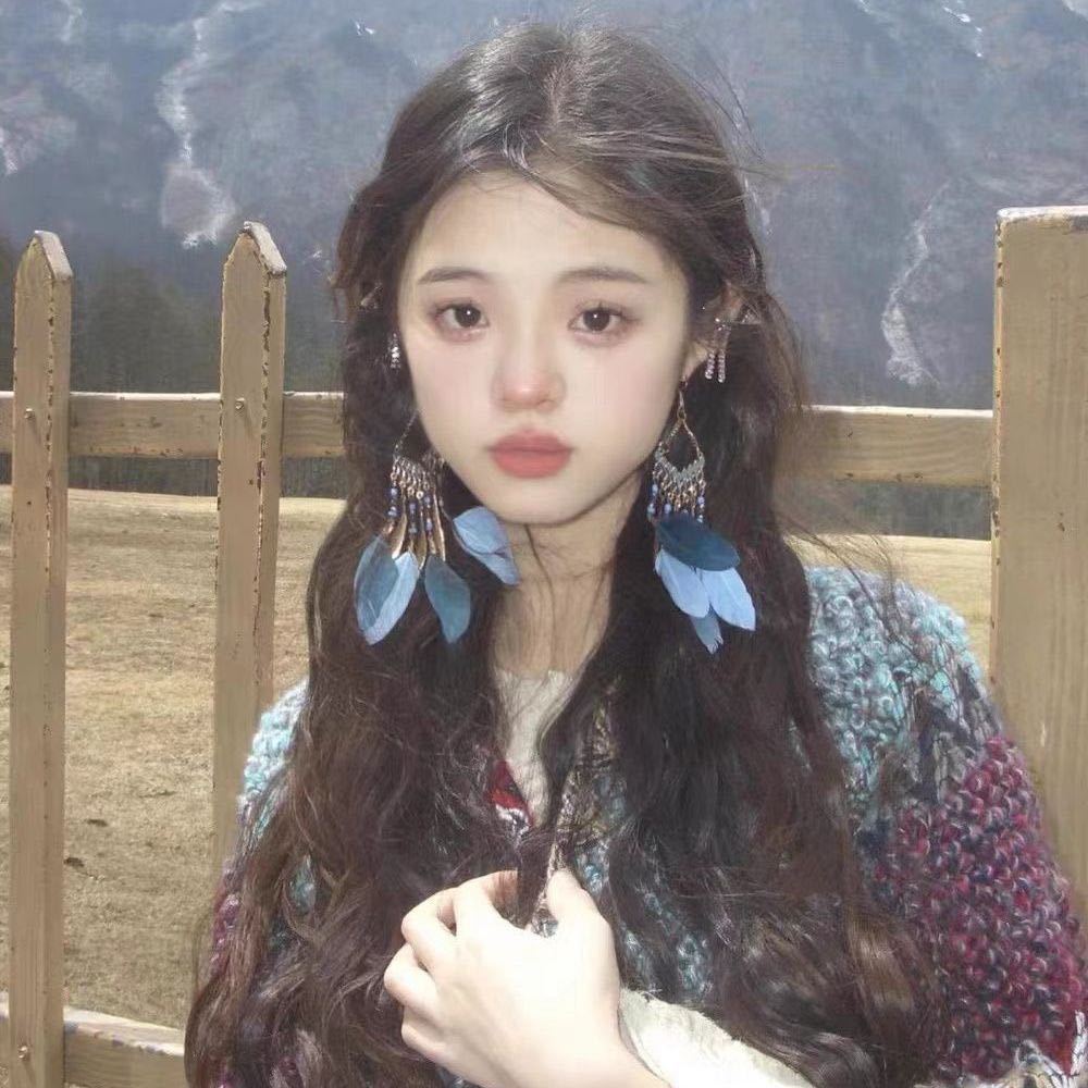 High-Value Feather Earrings Bohemian Long Tassel Photo Women'S Ear Hooks Personalized Earrings