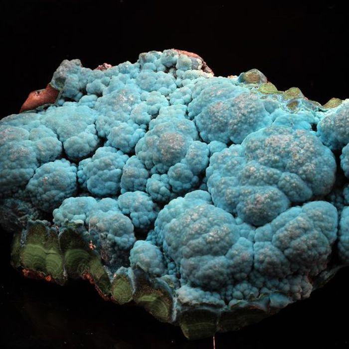 Pierres et Minéraux. Chrysocolle. 619.0 ct. Lupoto Mine, Katanga, Congo.