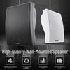 SAST DW70 White Commercial & Home Audio System (CN version)
