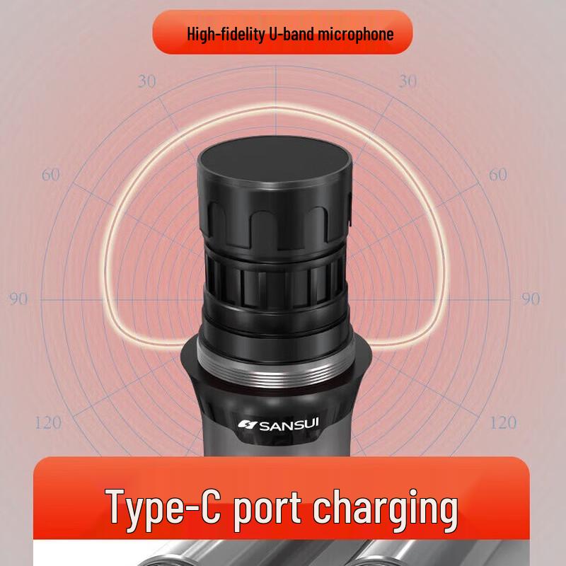 Sansui C1 Portable Home KTV Speaker System