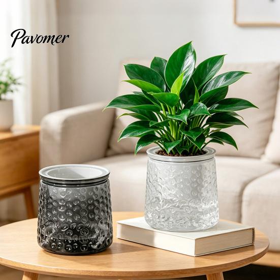 Горшки для комнатных растений Самополивающийся горшок, Толстый прозрачный цветочный рельефный Декоративный для суккулентов Гидропонные комнатные растения Суккуленты Эстетичный