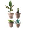 Les Trésors De Lily [R5023] - Window Stickers 'Plants In Pots' Green Gray - 40x30 Cm (2 Rooms)