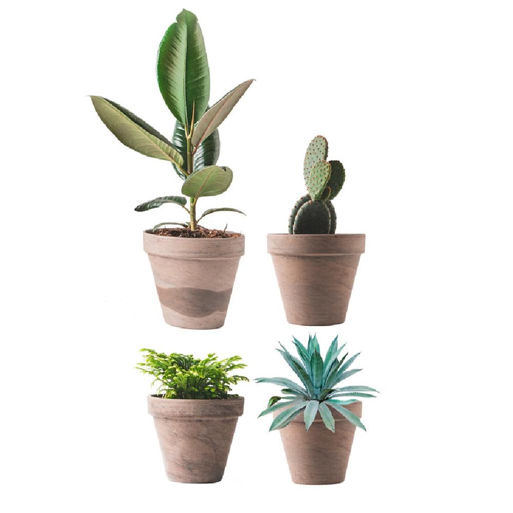 Les Trésors De Lily [R5023] - Window Stickers 'Plants In Pots' Green Gray - 40x30 Cm (2 Rooms)