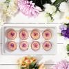 8Pcs/Box Preserved Flowers Soft Texture DIY Flower Arrangement Multiple Colors Fake Roses DIY Bouquets Home Decor
