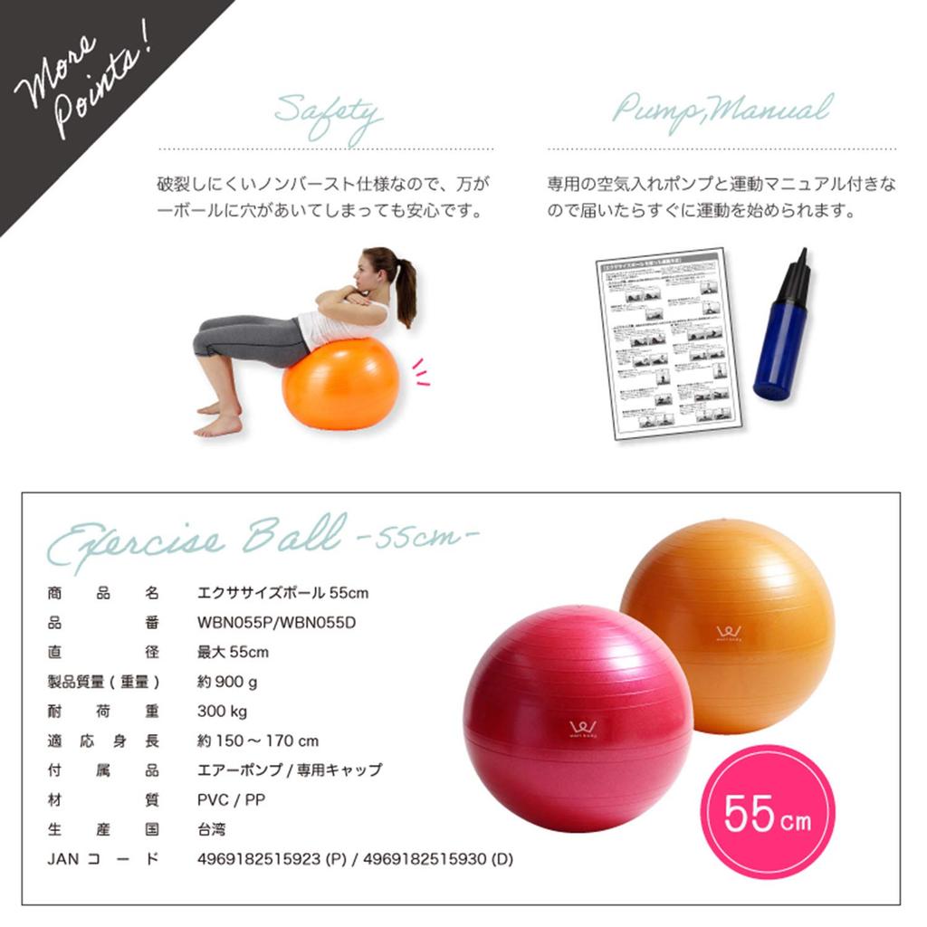 Alinco Exercise Ball 55cm WBN055D (Orange)