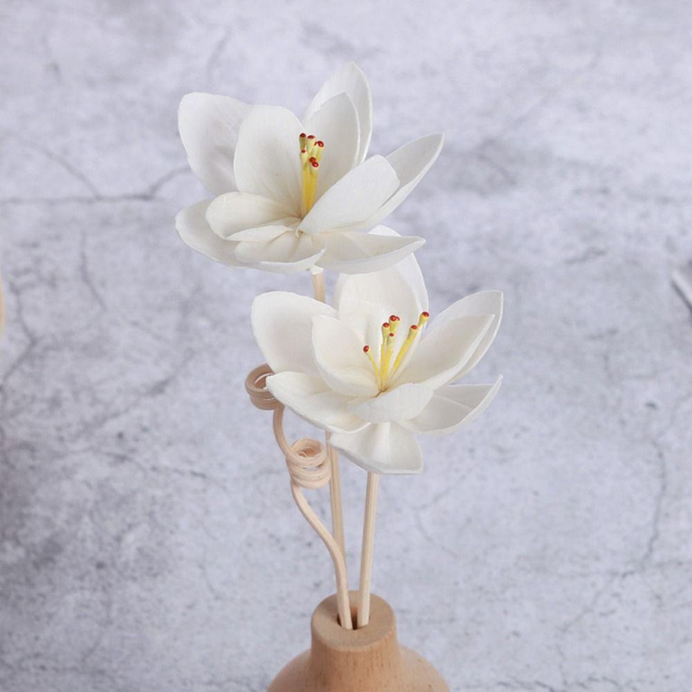 Durable Lasting Volatile Living Room For Aromatherapy For Home Aromatic Incense Diffuser Sticks Dried Flowers Tongcao Flower