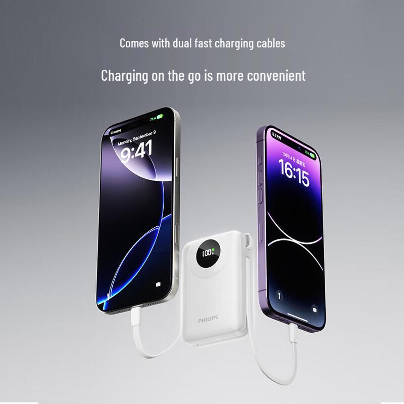 Philips 20000mAh 35W Fast Charging Power Bank with Built-in Cables