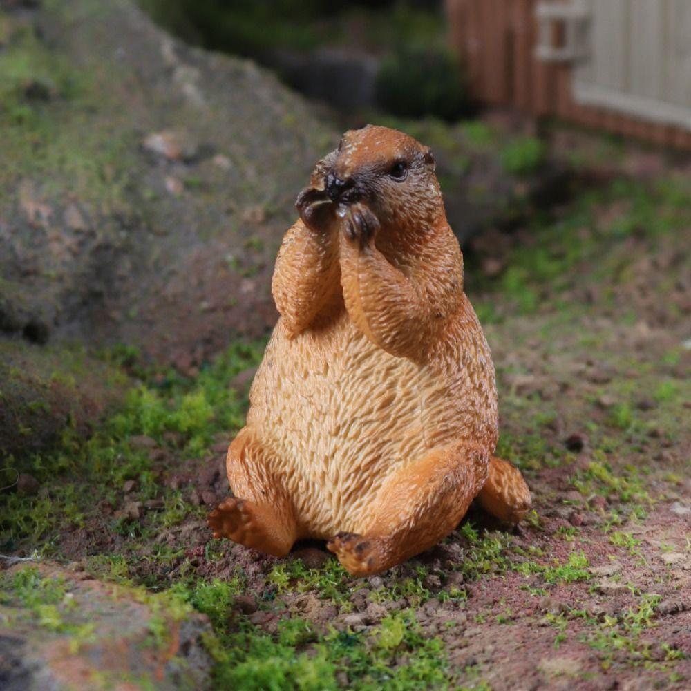 Фигурка дикого животного Marmot Реалистичное искусственное украшение ПВХ Украшение для дома Животное Украшение для дома