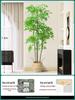 Artificial Nandina Domestica Potted Plant for Home Decoration - Green Ornamental Bonsai for Living Room or Sofa Side Decor.