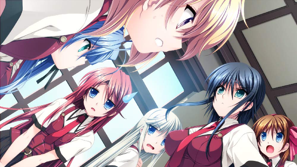 Девушка в любви и щит защиты Дева Мария стандартного издания PSVita ~Розы~ -