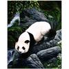 Полный 5D Diy Алмазная картина животных Панда Алмазная вышивка Крест Стежок Главная Декор Ручной подарок