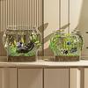 Clear Fish Bowl for Betta Fish Golden Fish Turtle Plastic Betta Fish Tank Desktop Round PET Aquarium for Home Office Decor