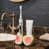 Ceramic Toothpaste Toothbrush Rack Waterproof Toothbrush Storage Rack  Washstand