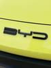 BYD Seagull Передний Логотип Буквенный Логотип Углеродное Волокно BYD Ярко-Черный Декоративная Накладка Измененный Цвет