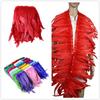 Red Rooster Tail Trims Natural Coque Feather Trimming Ribbon For Crafts Dress Skirt Carnival Costumes Plumes 10-12 Inch