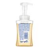 Safeguard Foaming Antibacterial Hand Wash