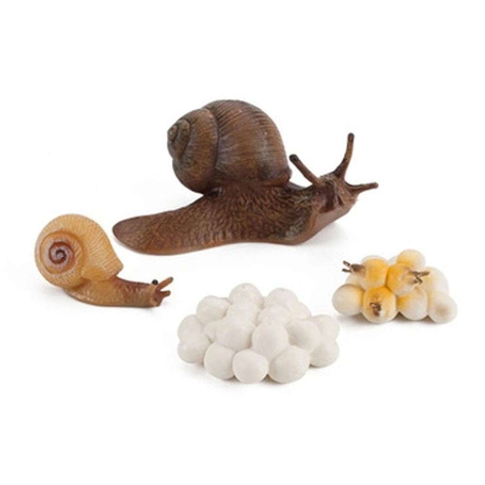 Kids Cognitive Snail Growth Cycle Cycle Mantis Figurine Praying Mantis Toy Life Cycle Figures