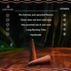 CALMVEDA Organic Incense Cones Scented - 120 Cone Incenses, 10 Variants with Holder