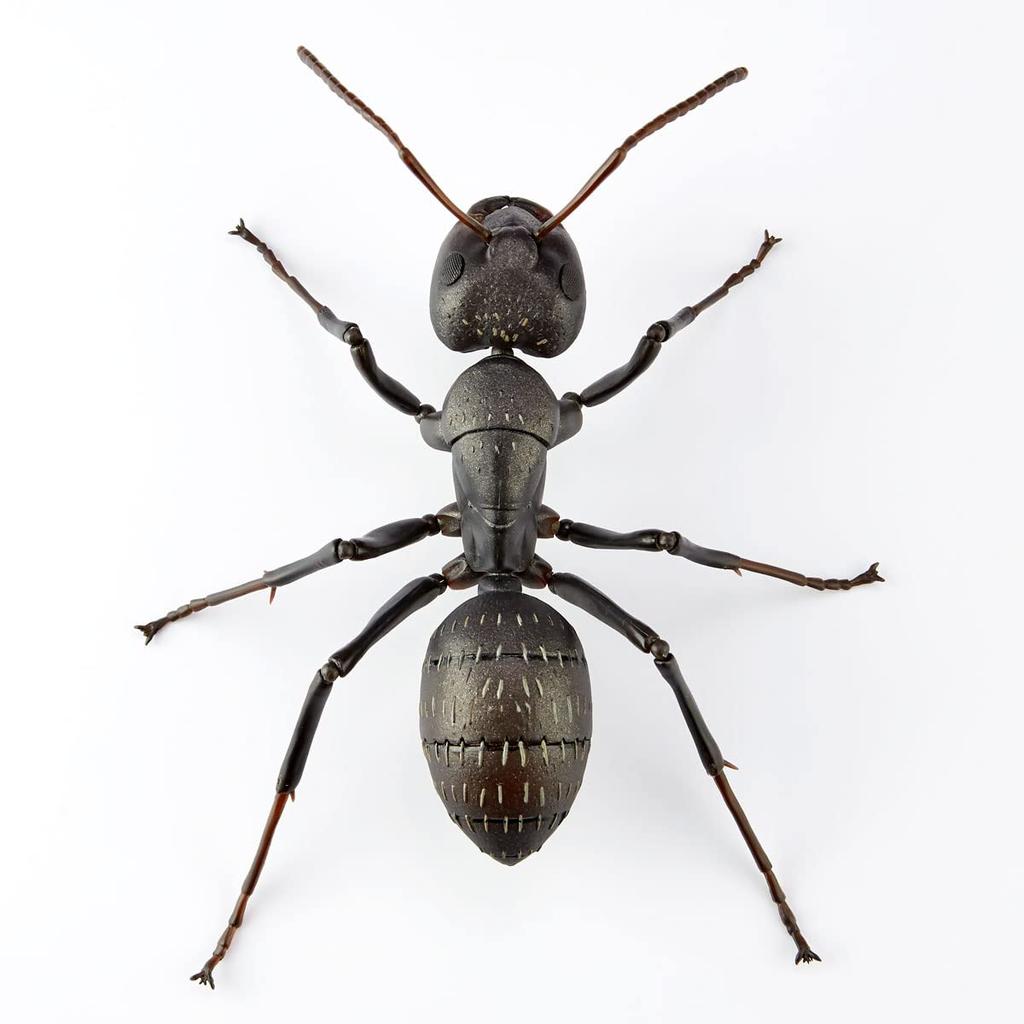 Kaiyodo REVO GEO Black Ant 115mm in PVC ABS articulated (approx. length), Non-scale, & painted, figure.