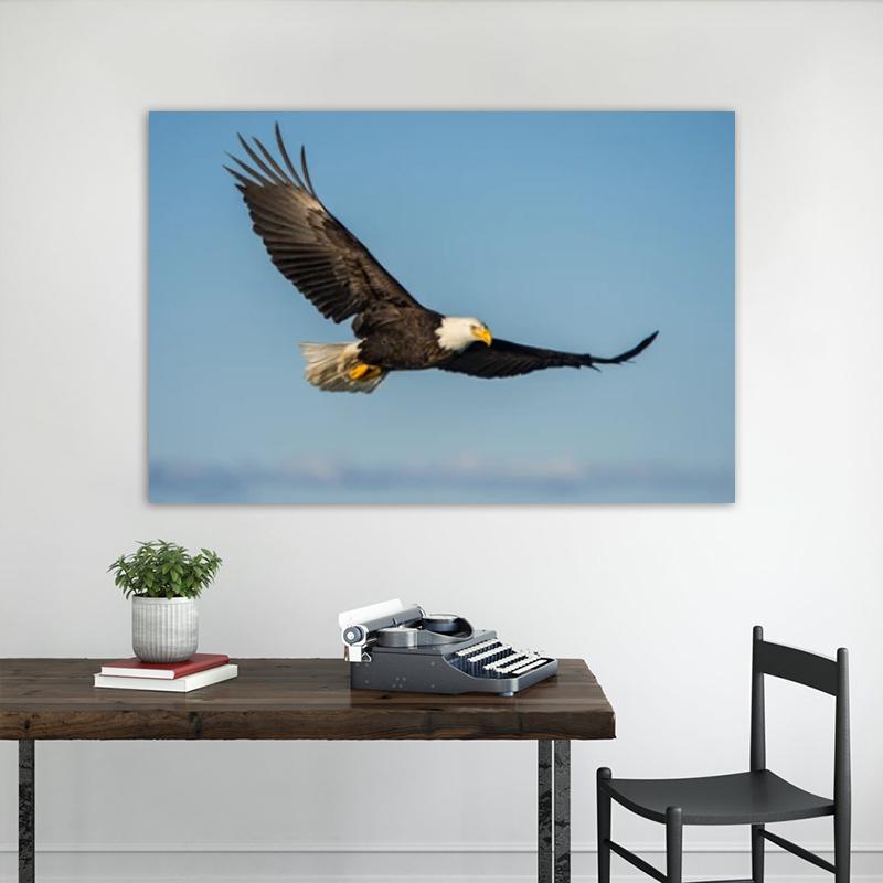 НАДЕЖНЫЕ ИСКУССТВА Холст Картины Летающий Орел Животные Фотографии Домашнее Настенное Искусство для Гостиной Плакаты и принты Украшение Дома