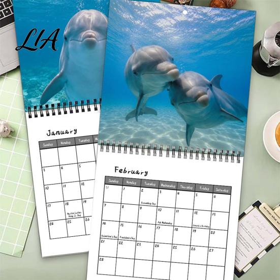 Twelve Month Agenda Happy Dolphins 2027 Wall Calendar, Cute Ocean Animal 12 Marine Home Decor Planner, Funny Dolphin Photography Hanging Calendar for