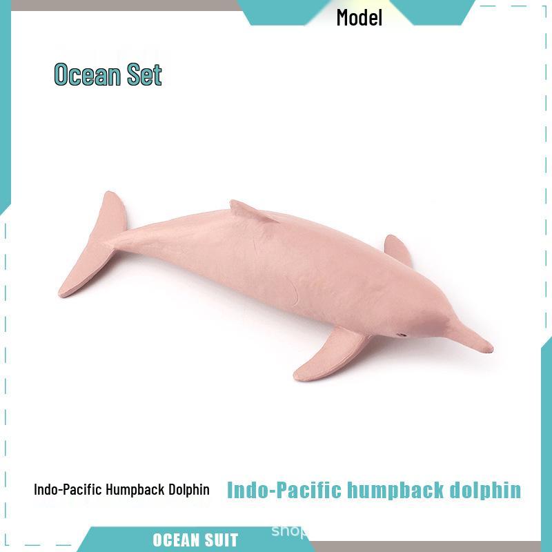 Children's Marine Animal Model Set: Mini Whale, Shark, Dolphin, Turtle, Sea Lion
