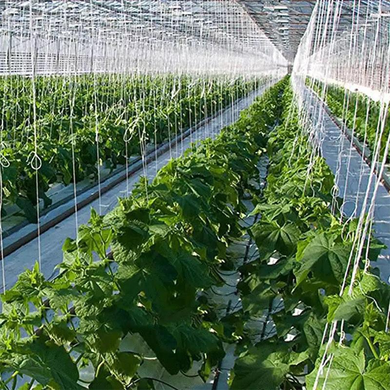 6 шт. Крюк для помидоров черри, сетка, теплица, крюк для помидоров, подходит для поддержки горшечных растений