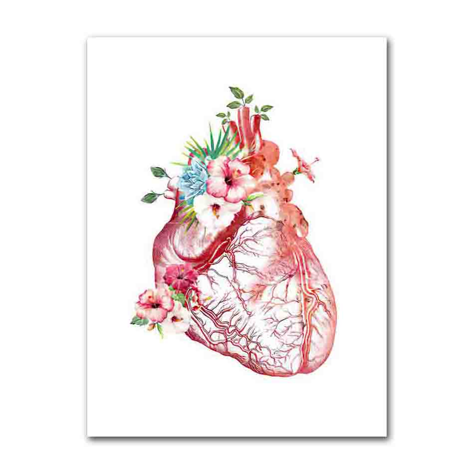 Flower Breast Uterus Kidney Liver Anatomy Wall Art Canvas Painting Nordic Posters And Prints Wall Pictures For Doctors Office