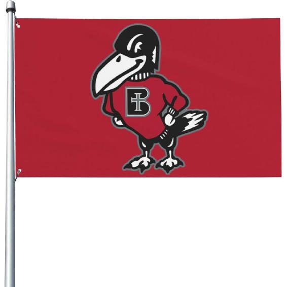 Флаг декоративный уличный Benedictine College 3 x 5 футов, садовый флаг, уличный одинарный флаг