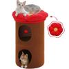 PAWZ Road Cat Cat Storage Cat Dog Dog Small Dogs and Multiple Interior Space With Pet Cat Toy Height L 2nd Brown Bed, House, Dome, Chigura, Space,