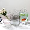Nordic Style Designer Glass Vase Handbag for Hydroponics and Floral Decor