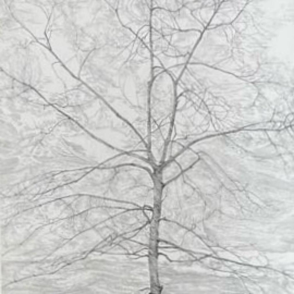 [Б/У] Школа работ Кадосака: Школа ветроэнергетики