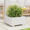 VidaXL Jardinière blanc 50x50x26,5 cm bois de pin massif, jardinière d'extérieur, bac à fleurs, boîte à plantes, jardinière 847294