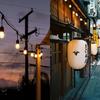 Succul LED String Light 7 E26 Bulbs Perfect for Outdoor and Authentic Extension Connecting Illumination Rainproof and Rainproof AC Plug 7 Lights Cord,