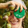 Te’ Te' Full Green 35 Тональный солнцезащитный кушон 14 г Набор сменных блоков