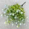 Sampsonii Hance Hypericum Plastic Green Plant Wedding Photography Decor