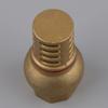 Anti Backflow Bottom Valve Female Thread Check Valve Brass Brass Foot Valve  Direct Supply