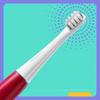 Dr. Bei Sonic Electric Toothbrush