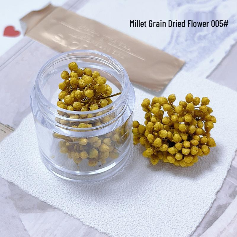 Nail Art Accessories: Dried Flower Buds & Grains for DIY Decoration