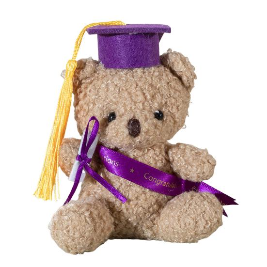 Выпускной плюшевый мишка с кепкой доктора философии плюшевая мягкая игрушка в подарок выпускникам мягкая кукла-медведь выпускной подвеска в виде сумки плюшевый мишка