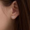 PAIGEFLYNN JEWELRY [925 Silver] Bubble Dew Earrings