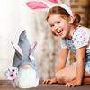 Kawaii Easter Faceless Dwarf Doll Mini Gnome Rabbit Doll Flower Easter Decoration  Home
