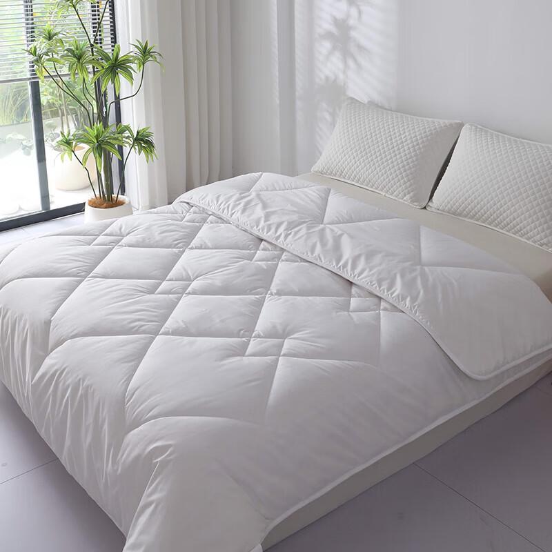 MINISO Bordeaux Washable Wool Blend Quilt